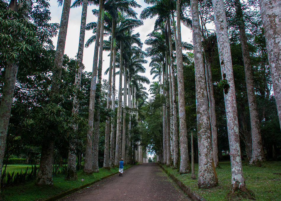Outdoor photography